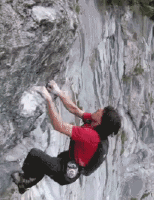 escalar 2