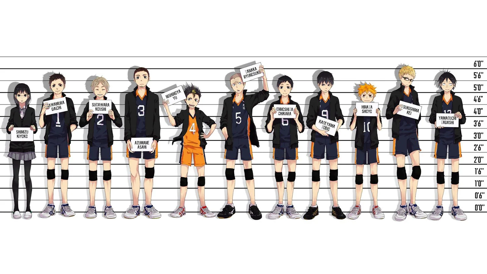 karasuno high anime haikyuu