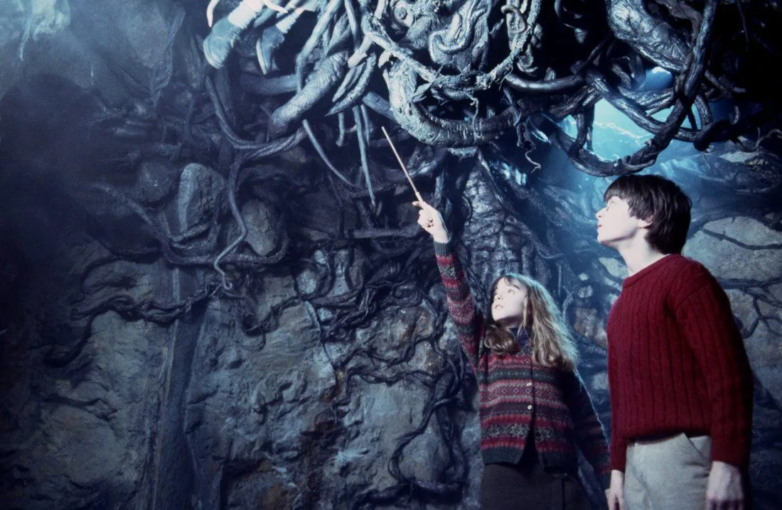 wb_f1_hermioneandharrydevilssnare_11524 wb_f1_hermioneandharrydevilssnare_11524