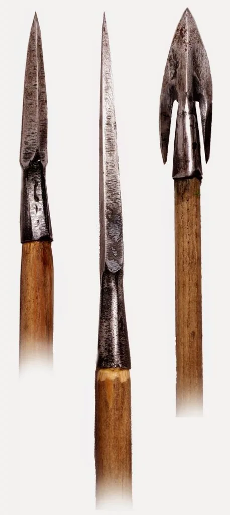 Bodkin needle war leaf x Bodkin needle war leaf x